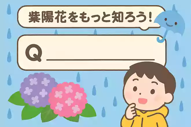 紫陽花は、梅雨の時期によく見られますが、梅雨のことを別の言葉で何と言うでしょう?NEW!
