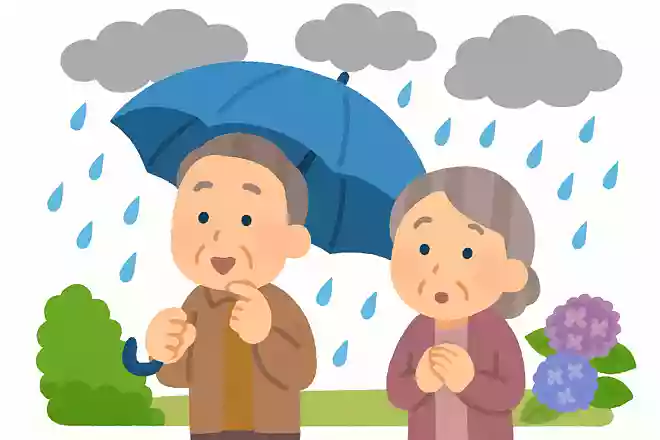 「走り梅雨」とは、どのような天気をいうでしょうか?NEW!