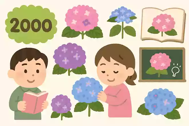 アジサイの種類は約2000種類NEW!