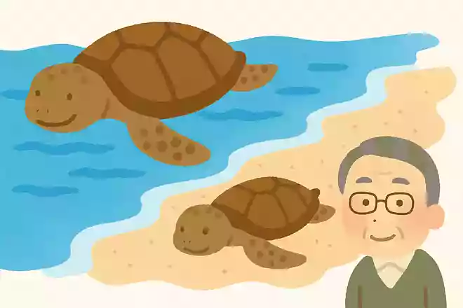 メスのウミガメは海と浜辺を行き来しますが、オスのウミガメも砂浜で過ごすことがあるのでしょうか?NEW!