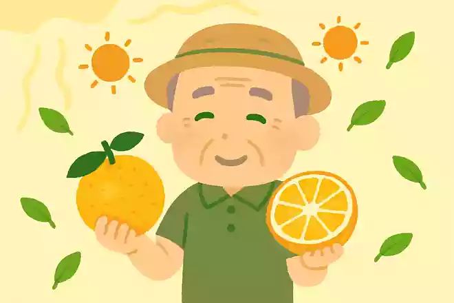 ビタミンCの王様と呼ばれる、夏が旬の果物は何でしょうか?NEW!