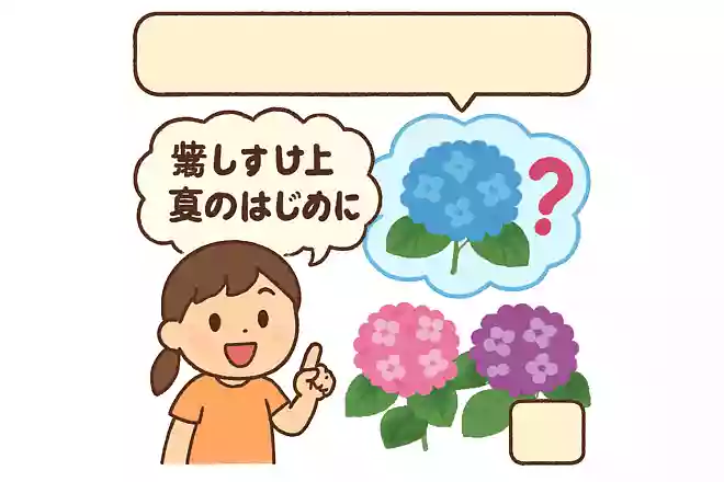 紫陽花はどうして夏のはじめに咲くのでしょうか?NEW!