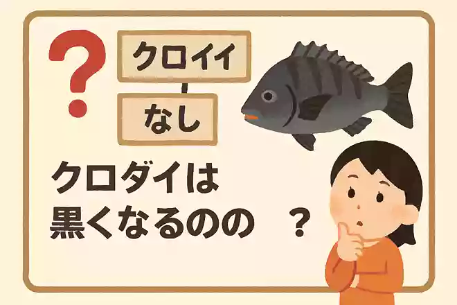 タイと言えば赤いイメージですが、体が黒いクロダイもいます。では、クロダイはなぜ黒くなるのでしょうか？NEW!