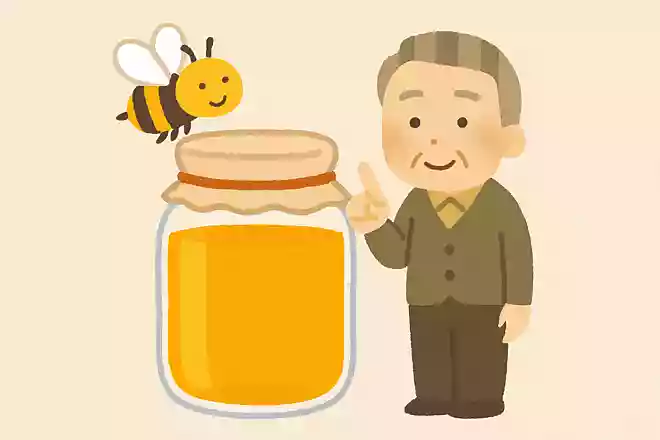 生涯を通して1匹のミツバチが集める蜂蜜の量はどれくらいでしょうか?NEW!