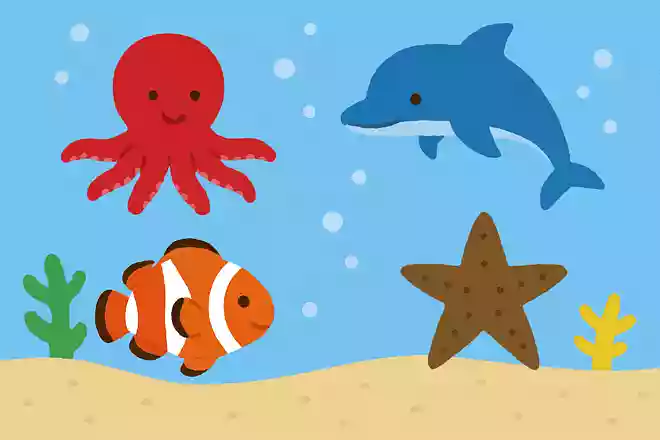 海の底を歩いて動く生き物は次のうちどれ?NEW!