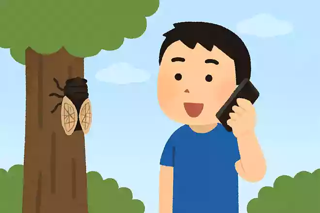 電話ではセミの鳴き声が聞こえないNEW!