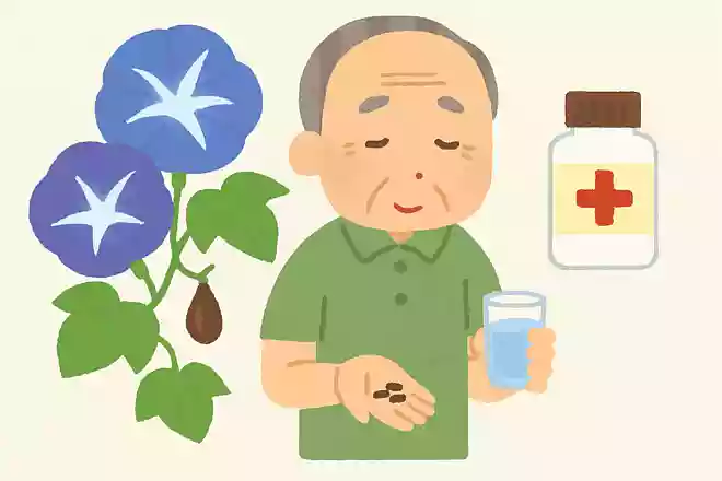 元々朝顔のタネは薬として日本に入ってきました。何の薬だったでしょう?NEW!
