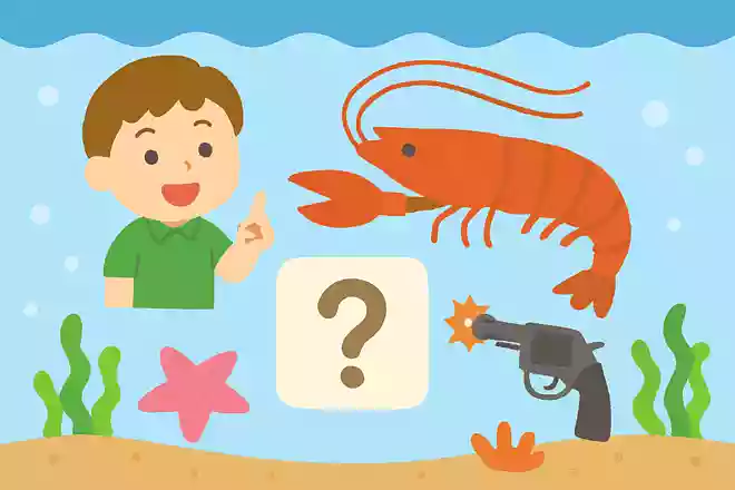 「テッポウエビ」というエビは、なぜ「テッポウエビ」という名前になったのでしょうか？NEW!