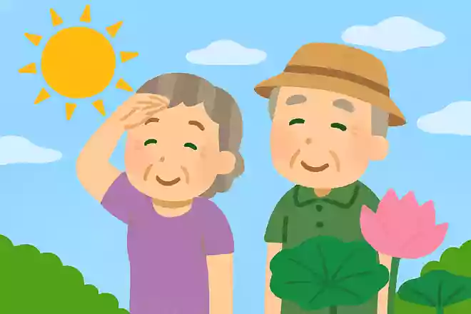 夏至とはどのような日を指しているでしょうか?NEW!