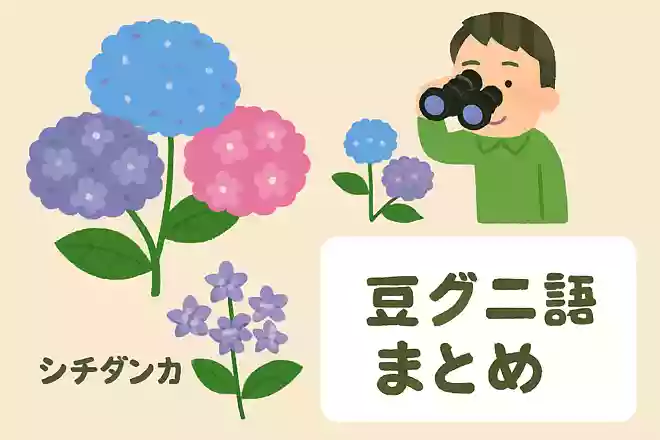 「シチダンカ」という幻のアジサイがあるNEW!