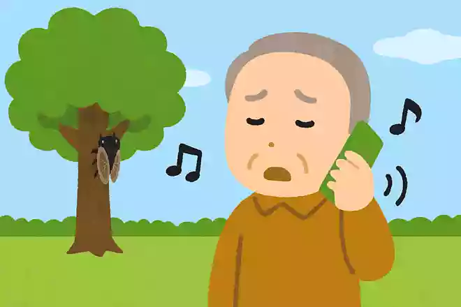 電話中に後ろでセミが鳴いていると、相手にはどのように聞こえるでしょうか?NEW!