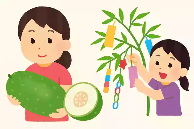 7月から旬を迎える冬瓜は冬までもつから名前に「冬」が入るNEW!