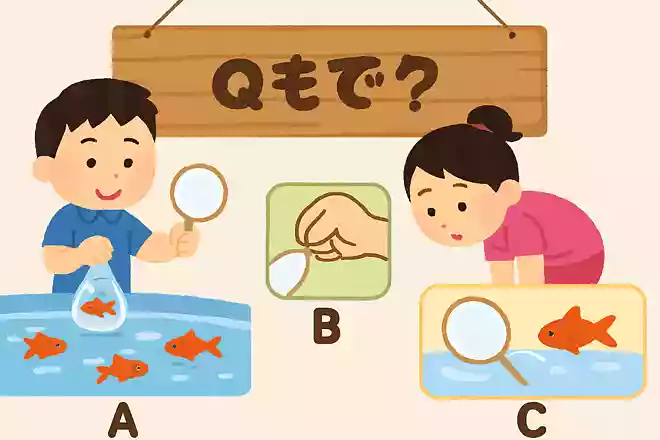 金魚すくいでは「ポイ」というあみを使って金魚をとります。 ポイがやぶれないコツはこの中でどれでしょうか?NEW!