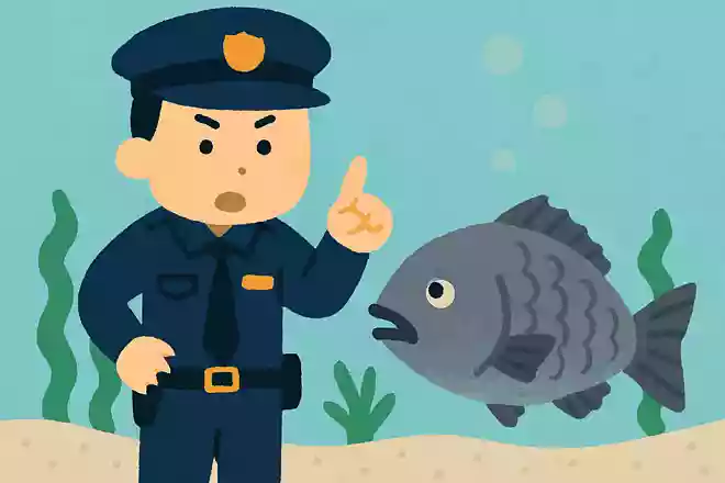 かつて食べることを厳しく取り締まられた魚がいました。 それはなんでしょうか？NEW!