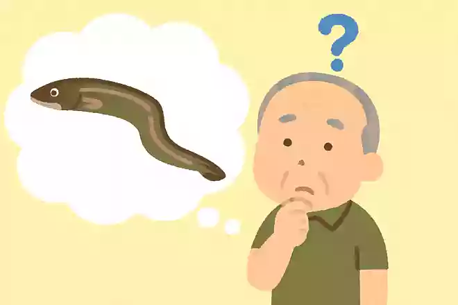 「はかりめ」という別名を持つ、夏が旬の魚は何でしょうか?NEW!
