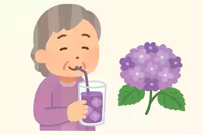 紫陽花を使った飲み物はあるでしょうか?