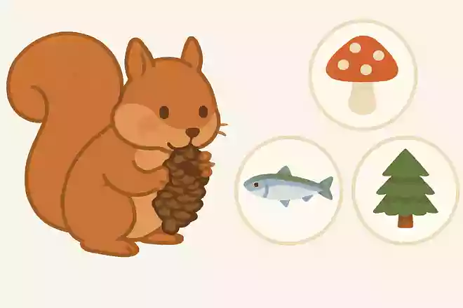 リスがかじった後の松ぼっくりは、何の形に似ているでしょう?NEW!