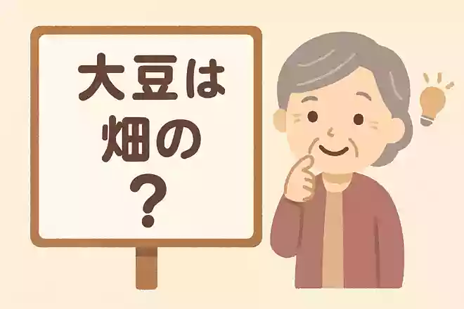 大豆は畑の何と呼ばれているでしょうか？