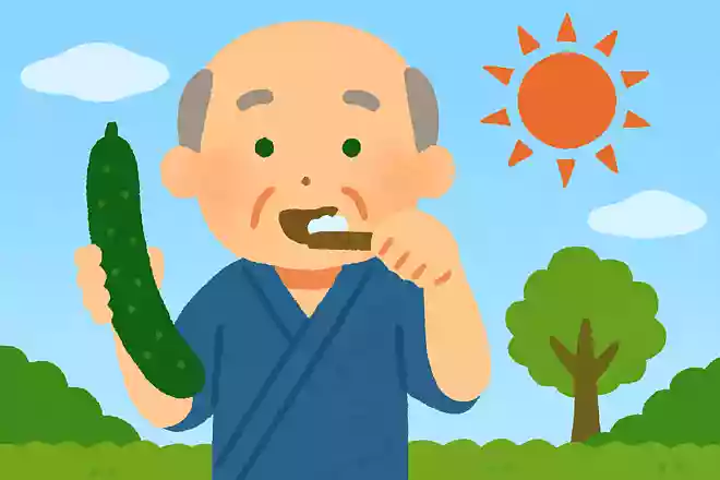 江戸時代に歯磨き粉として使用されていた夏野菜は何でしょうか?NEW!