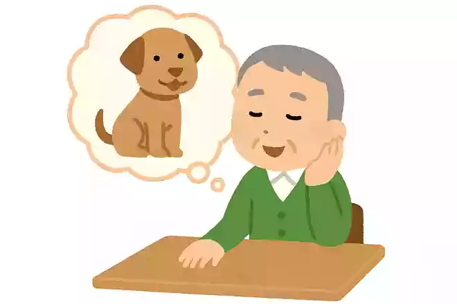 飼っていたペットの話
