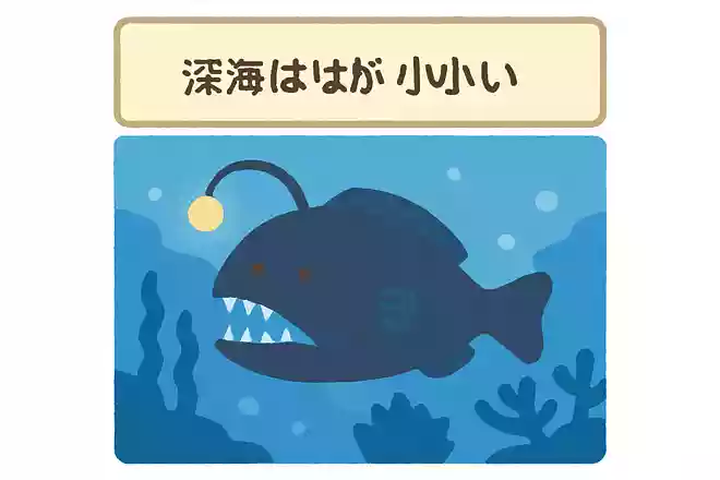 深海魚はなぜ目が小さい、または退化していることが多いのでしょう?NEW!