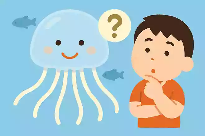 クラゲの口はどこにあるでしょうか？NEW!