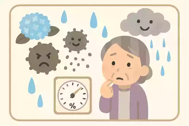 梅雨の時期に発生しやすいカビは、湿度が何%を超えると発生しやすくなるでしょうか?