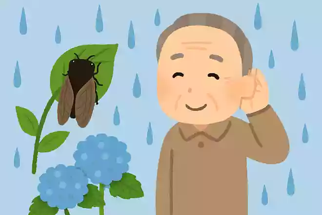 あるものが鳴ると「梅雨が明ける」と言われています。あるものとは何でしょうか?NEW!