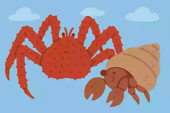 タラバガニは生物学の分類上、カニではありません。 では、なんの仲間でしょうか？NEW!