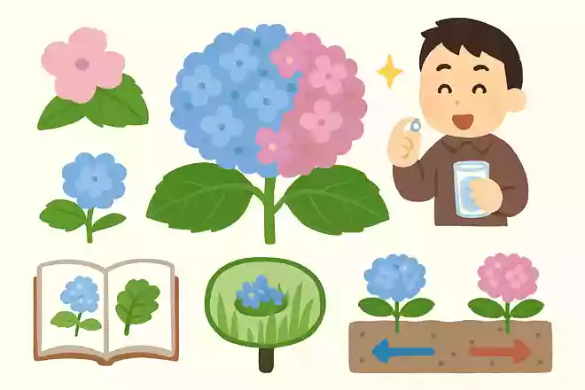 解熱薬になるNEW!