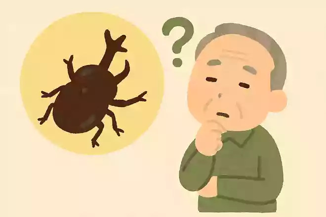 「カブトムシ」のツノは何本以上でしょうか?