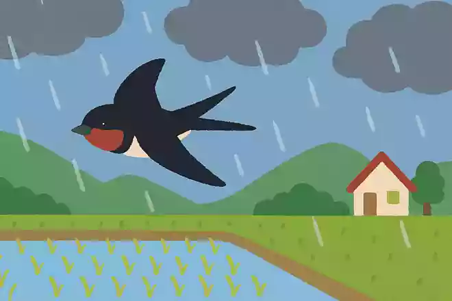 ツバメが低く飛んでいると雨が降るNEW!