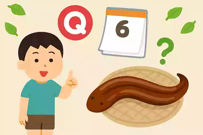 関西では夏至に何を食べるでしょう?NEW!