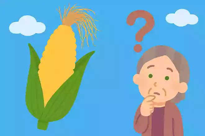 とうもろこしの実の先から出ている「ひげ」は、食べても体に良いと言われています。この「ひげ」の正体は何でしょうか?NEW!