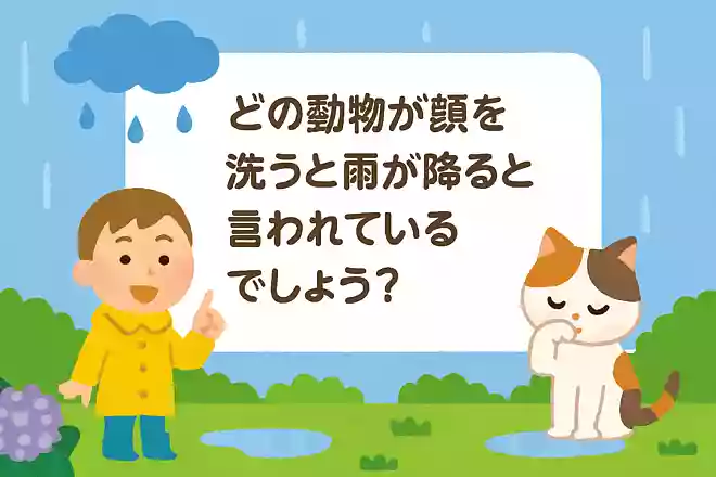 どの動物が顔を洗うと雨が降ると言われているでしょう？