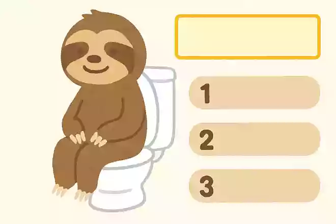 ナマケモノがトイレに行く頻度はどのくらい?NEW!