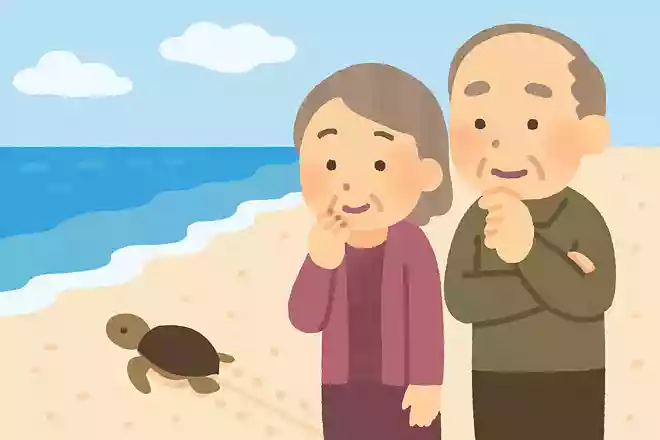 ウミガメの赤ちゃんは、砂浜に生まれるとすぐに海を目指します。さて、どうやって海の方向を知っているのでしょうか?NEW!