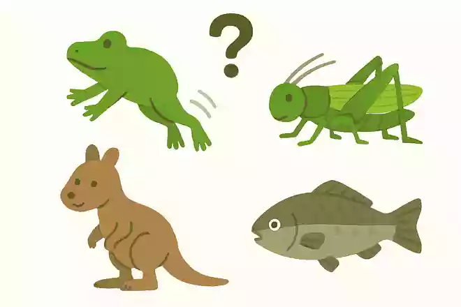 次のうち、後ろ向きにジャンプできない生き物はどれ?NEW!