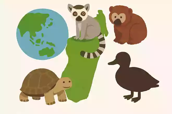 絶滅危惧種が最も多い国はマダガスカルNEW!
