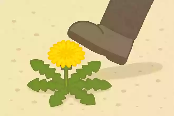 길가의 민들레는 밟혀도 꽃을 피운다.NEW!禹長春