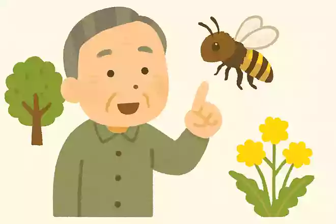 働き蜂の性別はオスとメス、どちらでしょうか?NEW!