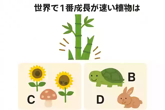 世界で1番成長が速い植物は?NEW!