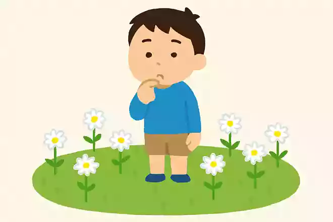 何もしていないのに増えてしまう花はなんでしょう?NEW!