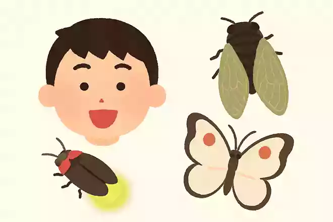 夏の虫といえば？NEW!