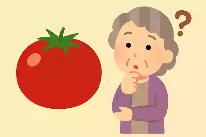 トマトが最もおいしい季節はいつでしょうか?NEW!
