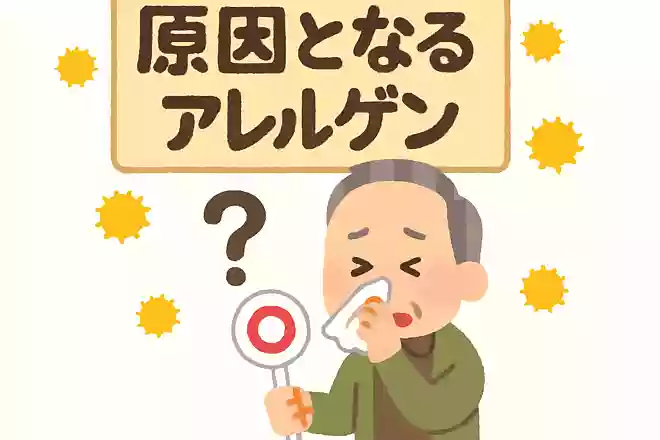 花粉症の原因となるアレルゲンは、日本に何種類あるでしょうか?NEW!