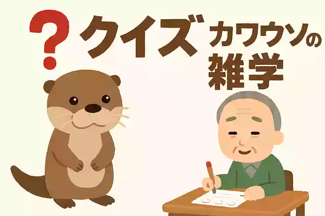 近年ペットとしても注目されるコツメカワウソですが、日本で取引する場合のルールについて正しいものはどれでしょうか?NEW!