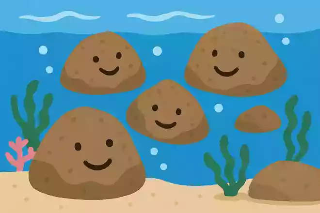 海の中に岩が4つ泳いでいます。一体何でしょうか?NEW!