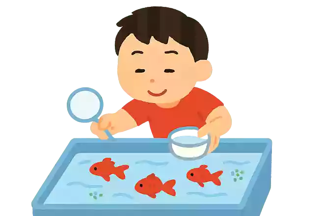 金魚すくいNEW!