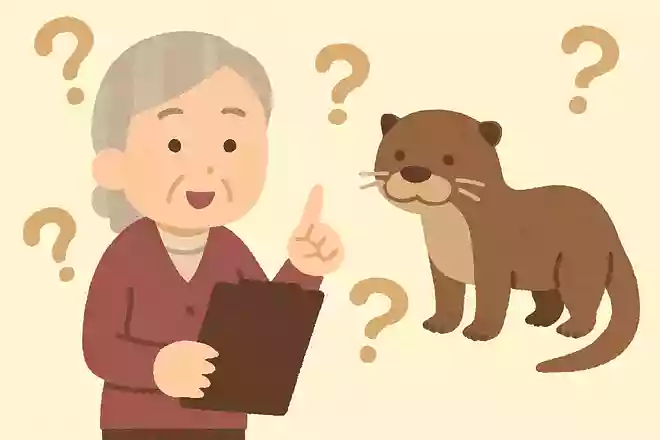 カワウソが活動的になる時間帯はいつでしょうか？NEW!
